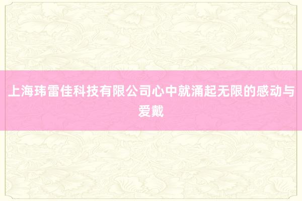 上海玮雷佳科技有限公司心中就涌起无限的感动与爱戴