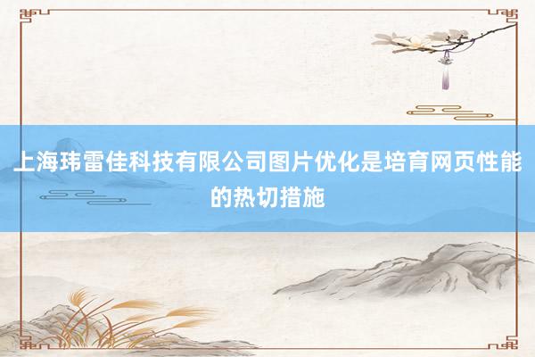 上海玮雷佳科技有限公司图片优化是培育网页性能的热切措施