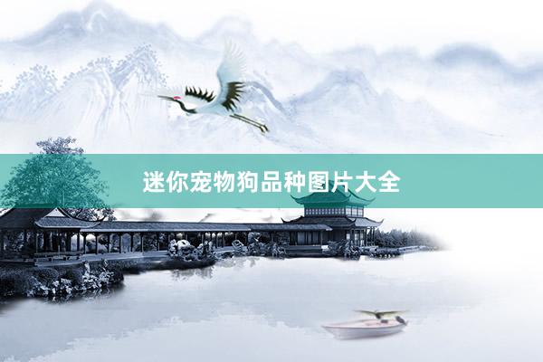 迷你宠物狗品种图片大全