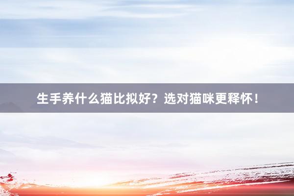 生手养什么猫比拟好?选对猫咪更释怀!